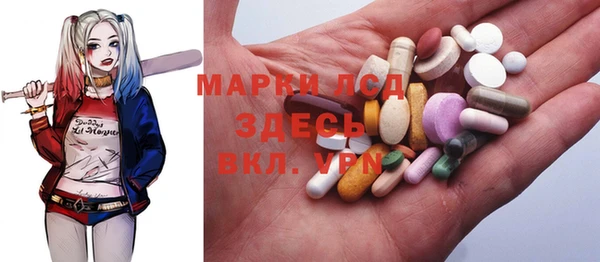 тгк Алзамай