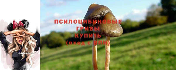 стафф Алексеевка