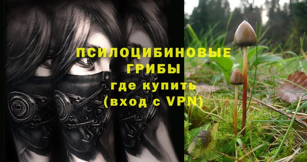 стафф Алексеевка